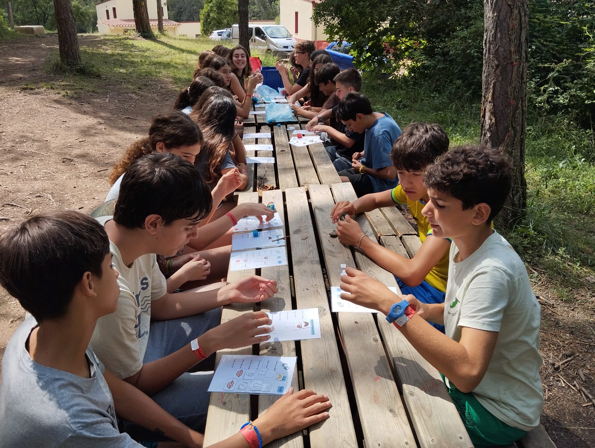 Colònies científiques d'estiu