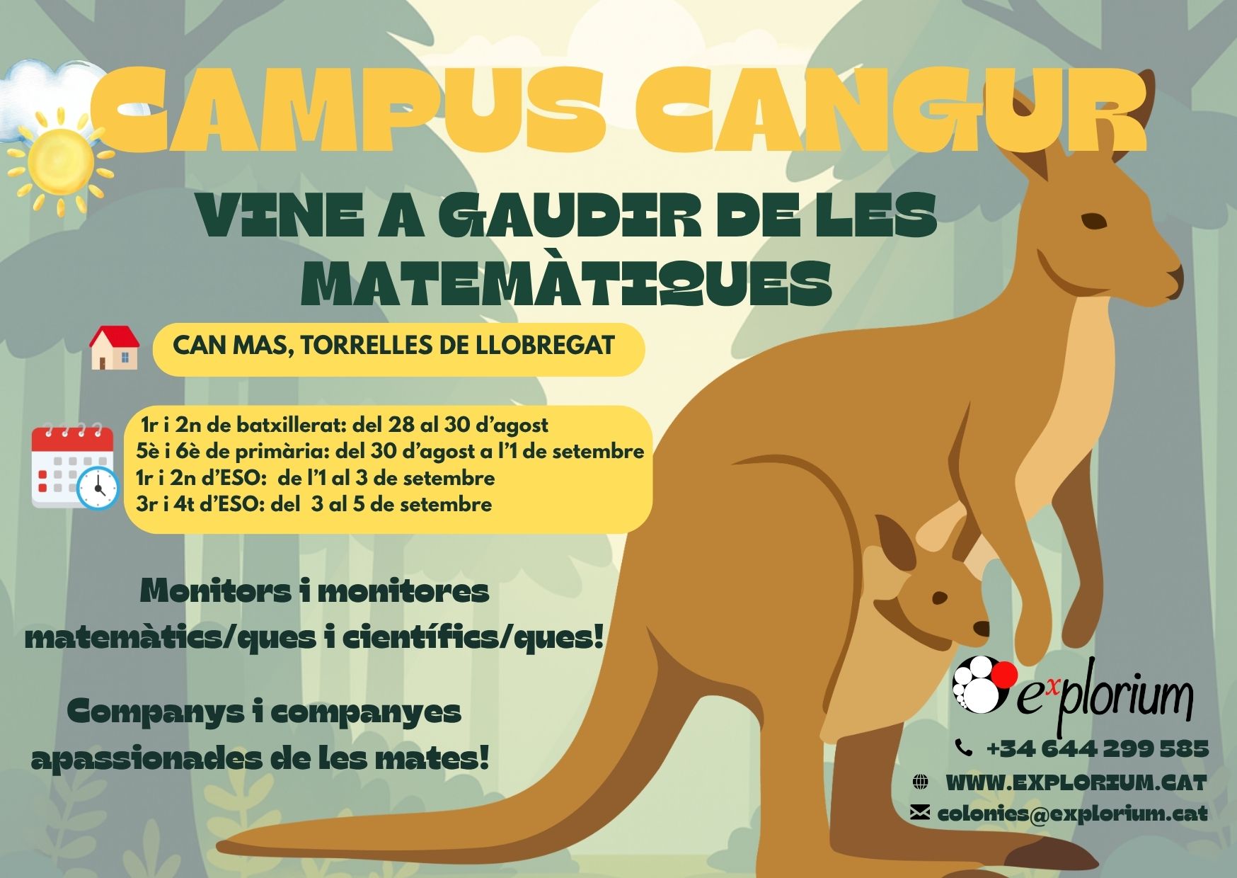 Cartell Campus Cangur